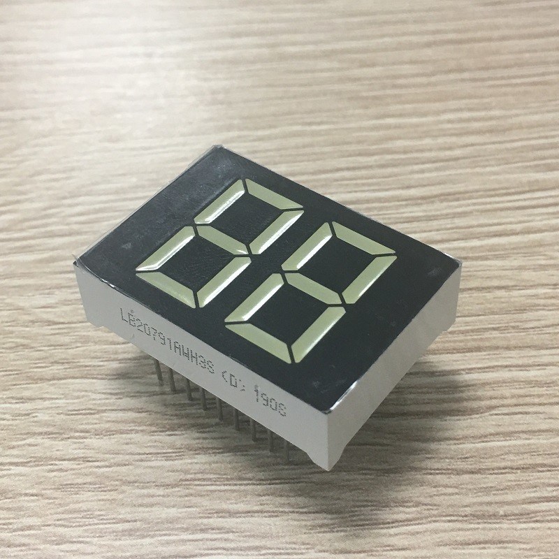 20mm White Color 2 Digit 7 Segment LED Display for Digital Water Heater