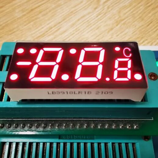Triple Digit 7 Segment LED Display with Minus Sign for Temperature
