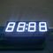 LED Clock Display For Microwave Oven Timer , Digital Clock Display