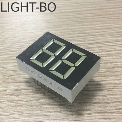 Good price 20mm White Color 2 Digit 7 Segment LED Display for Digital Water Heater online