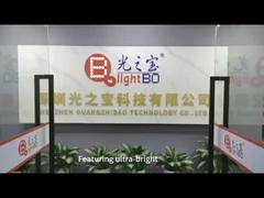 Custom 2-Digit Round LED Display for Speed Indicators