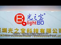 4-Digit 7 Segment LED Display for Home Appliances