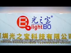 Custom Dual Digit 7 Segment LED Display