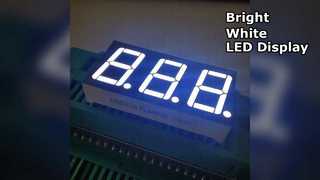 Ultra Bright White 7 Segment LED Display 3 Digit