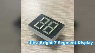 Bright 20mm White 7 Segment LED Display for Controllers